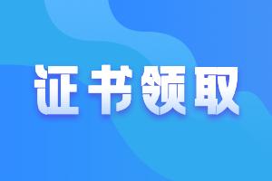 上海职称电子证书下载指南