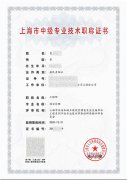 上海职称-项目管理